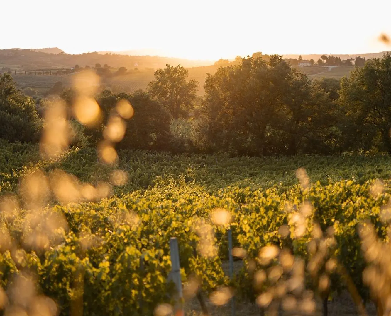 ****  Borgo San Vincenzo Hotel Montepulciano Italy